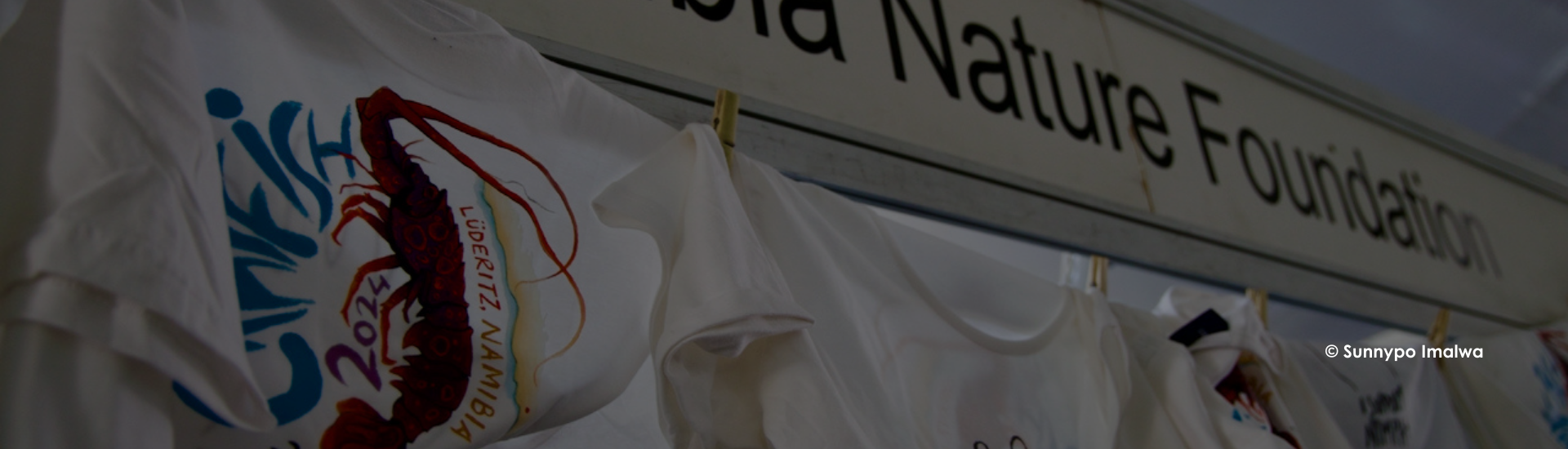 Our focus & Programmes