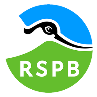 RSPB_Logo_2022