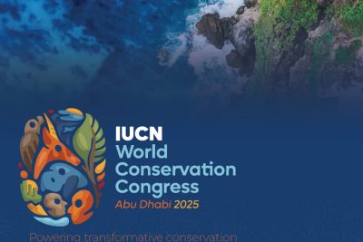 WhatsApp Image 2025-10-09 at 08.37.57