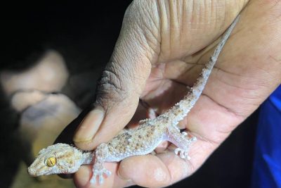 WhatsApp Image 2026-02-17 at 15.28.46